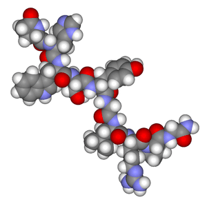 thumbnail of dbpedia resource