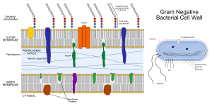 thumbnail of dbpedia resource