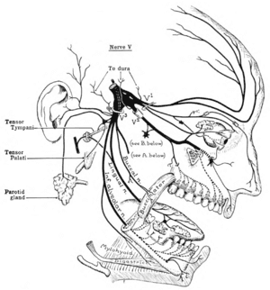 thumbnail of dbpedia resource