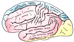 thumbnail of dbpedia resource