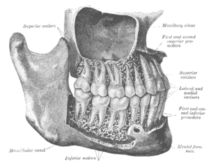 thumbnail of dbpedia resource