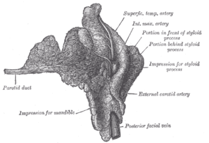 thumbnail of dbpedia resource