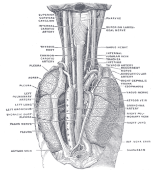 thumbnail of dbpedia resource