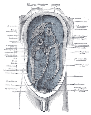 thumbnail of dbpedia resource