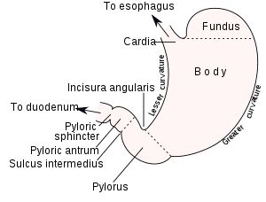 thumbnail of dbpedia resource