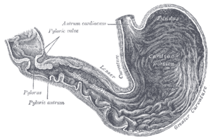 thumbnail of dbpedia resource