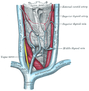 thumbnail of dbpedia resource