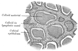 thumbnail of dbpedia resource