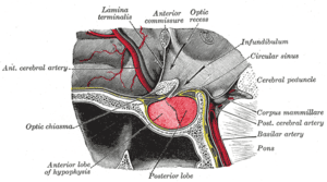 thumbnail of dbpedia resource