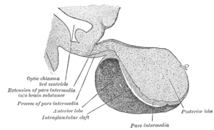 thumbnail of dbpedia resource