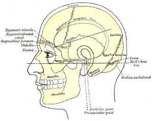 thumbnail of dbpedia resource