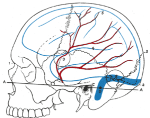 thumbnail of dbpedia resource