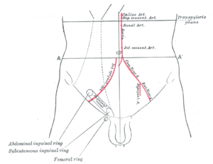 thumbnail of dbpedia resource