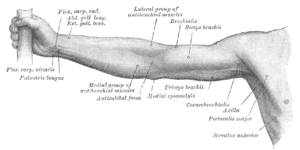 thumbnail of dbpedia resource