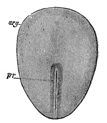 thumbnail of dbpedia resource