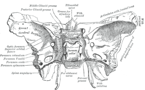 thumbnail of dbpedia resource