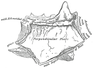 thumbnail of dbpedia resource