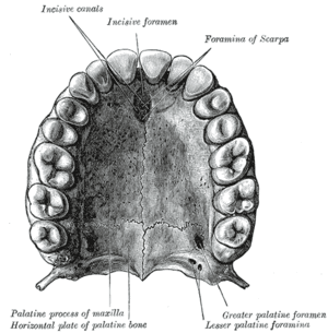 thumbnail of dbpedia resource