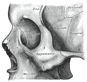 thumbnail of dbpedia resource