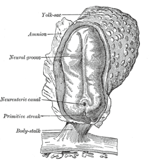 thumbnail of dbpedia resource