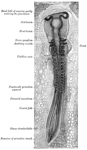 thumbnail of dbpedia resource