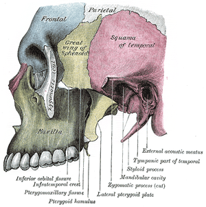 thumbnail of dbpedia resource