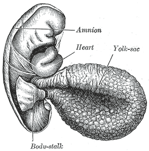 thumbnail of dbpedia resource