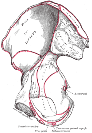 thumbnail of dbpedia resource