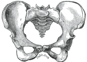 thumbnail of dbpedia resource