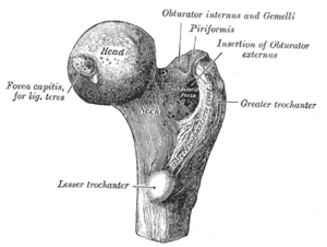 thumbnail of dbpedia resource