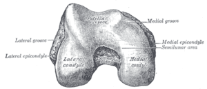 thumbnail of dbpedia resource