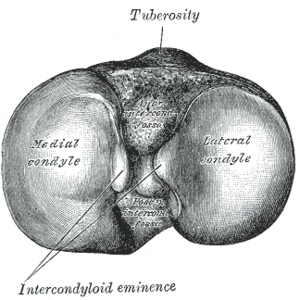 thumbnail of dbpedia resource