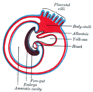 thumbnail of dbpedia resource