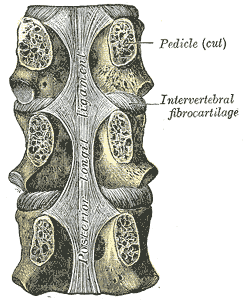 thumbnail of dbpedia resource