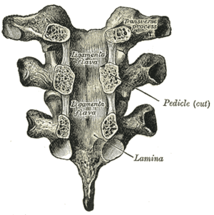 thumbnail of dbpedia resource