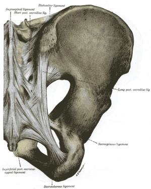 thumbnail of dbpedia resource