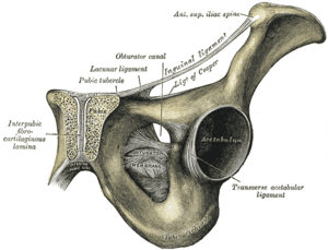 thumbnail of dbpedia resource