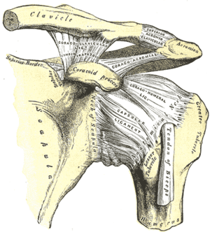 thumbnail of dbpedia resource