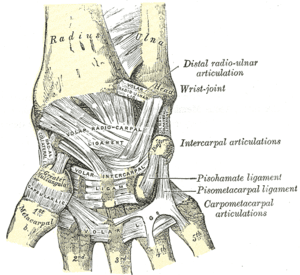 thumbnail of dbpedia resource