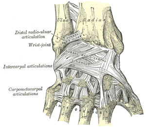 thumbnail of dbpedia resource