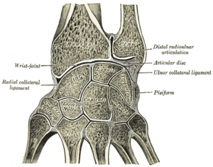 thumbnail of dbpedia resource