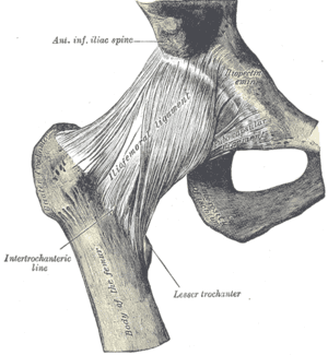 thumbnail of dbpedia resource