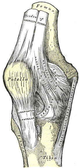 thumbnail of dbpedia resource