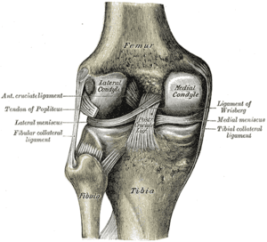 thumbnail of dbpedia resource