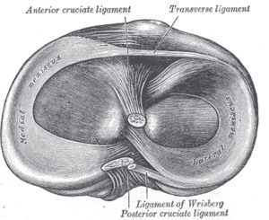 thumbnail of dbpedia resource