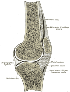 thumbnail of dbpedia resource