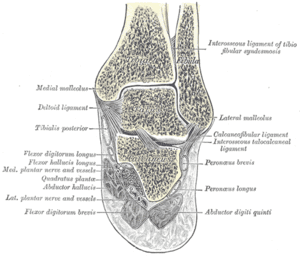 thumbnail of dbpedia resource