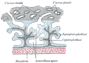 thumbnail of dbpedia resource