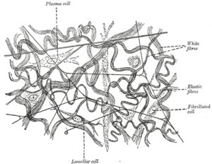 thumbnail of dbpedia resource