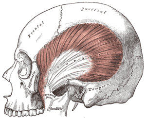 thumbnail of dbpedia resource